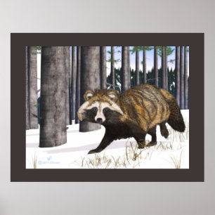 Tanuki - Racoon Dog Poster