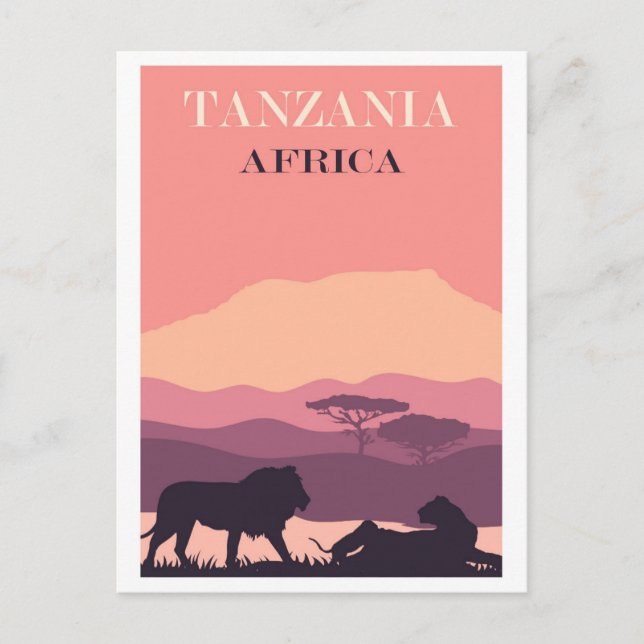 Tanzania Africa Pink Vintage Lion Travel Postcard (Front)