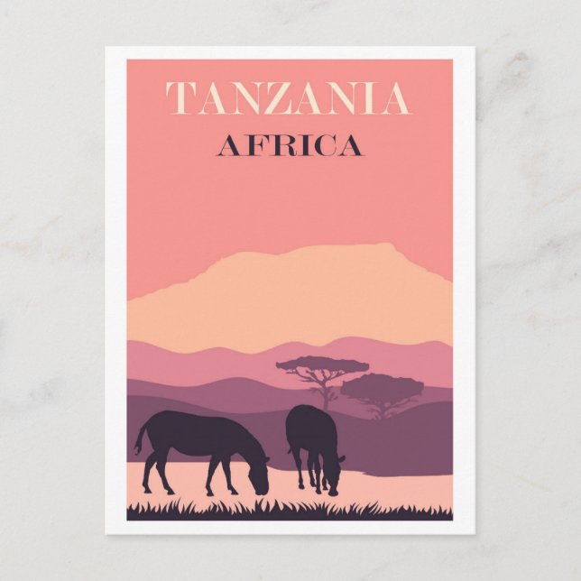 Tanzania Africa Pink Vintage Zebra Travel Postcard (Front)