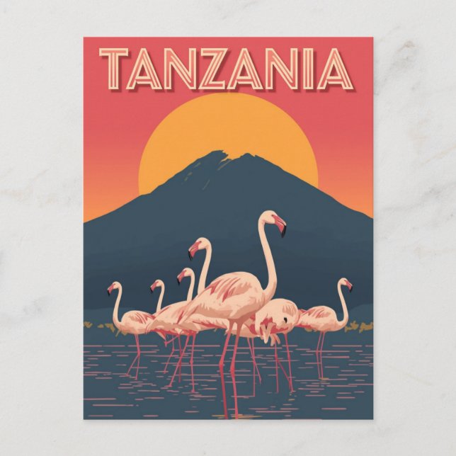 Tanzania Flamingo Sunset Postcard (Front)