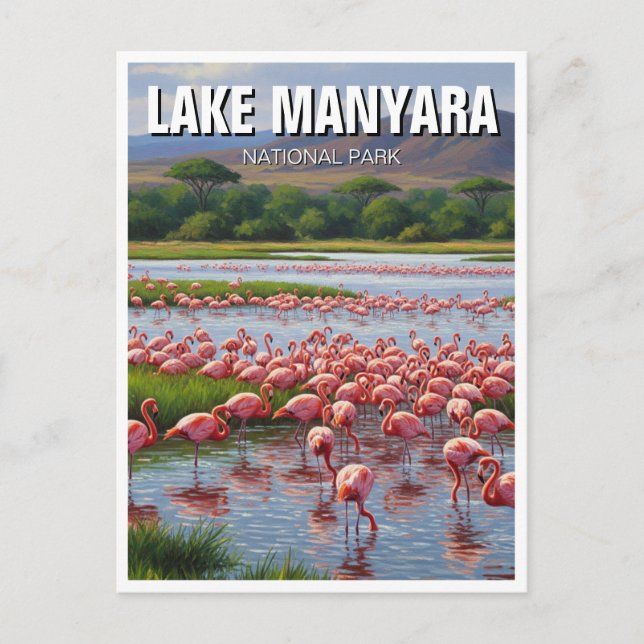 Tanzania Lake Manyara National Park Flamingos Postcard (Front)