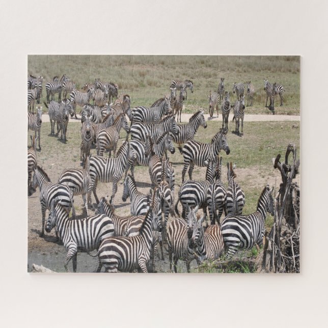 Tanzania National Park. Jigsaw Puzzle (Horizontal)