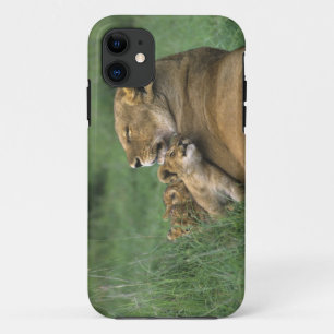 Tanzania, Ngorongoro Crater. African lion mother Case-Mate iPhone Case