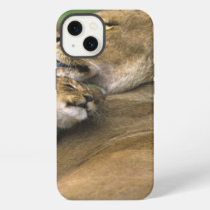 Tanzania, Ngorongoro Crater. African lion mother iPhone 13 Case