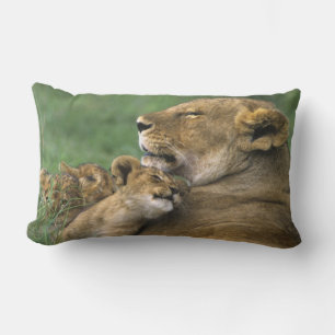 Tanzania, Ngorongoro Crater. African lion mother Lumbar Cushion