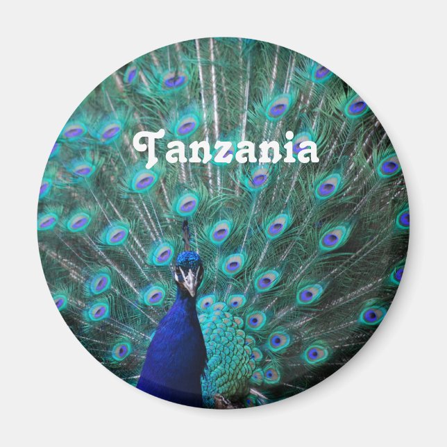 Tanzania Peacock Magnet (Front)