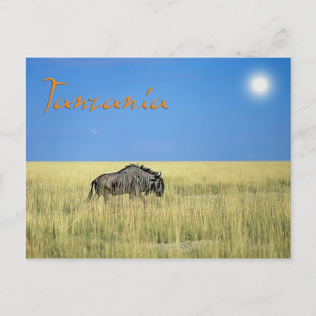 Tanzania Postcard (Front)