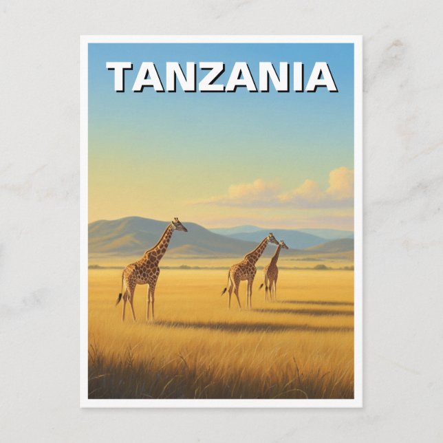 Tanzania Serengeti National Park Giraffes Postcard (Front)