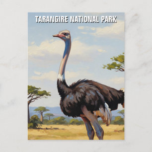 Tanzania Tarangire National Park Zebra Postcard