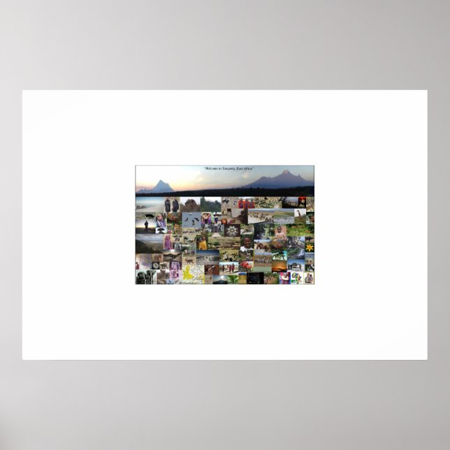 Tanzanian Collage of Life Poster (Front)