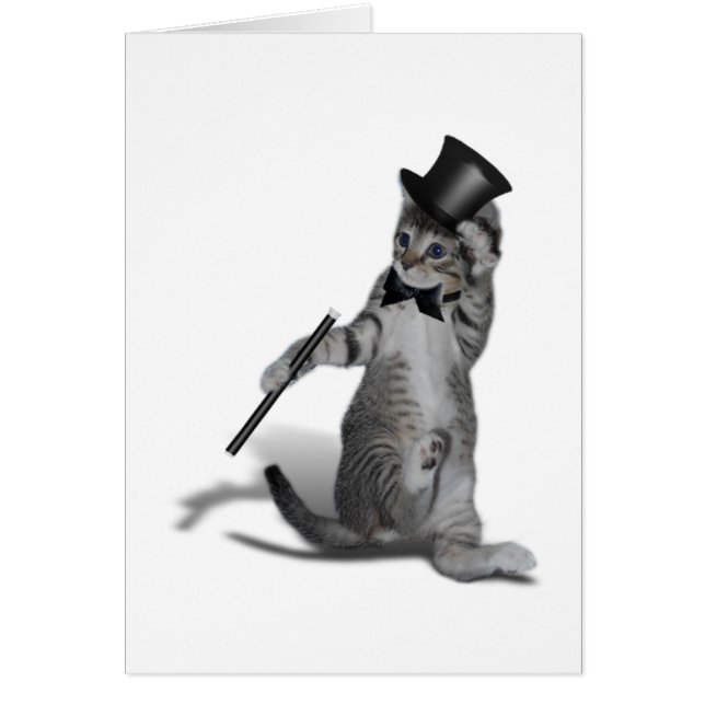 Tap Dancing Cat (Front)
