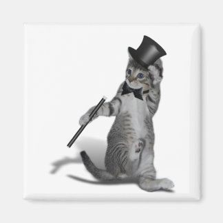 Tap Dancing Cat Magnet