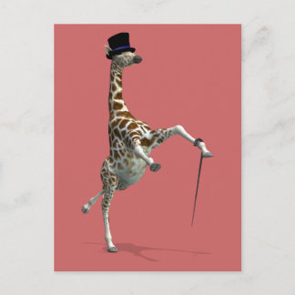 Tap Dancing Giraffe Postcard