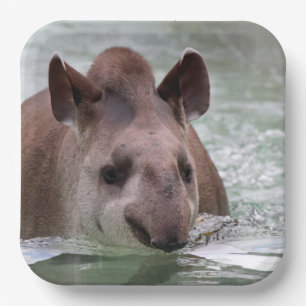 Tapir 001 paper plate
