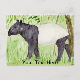 Tapir Postcard