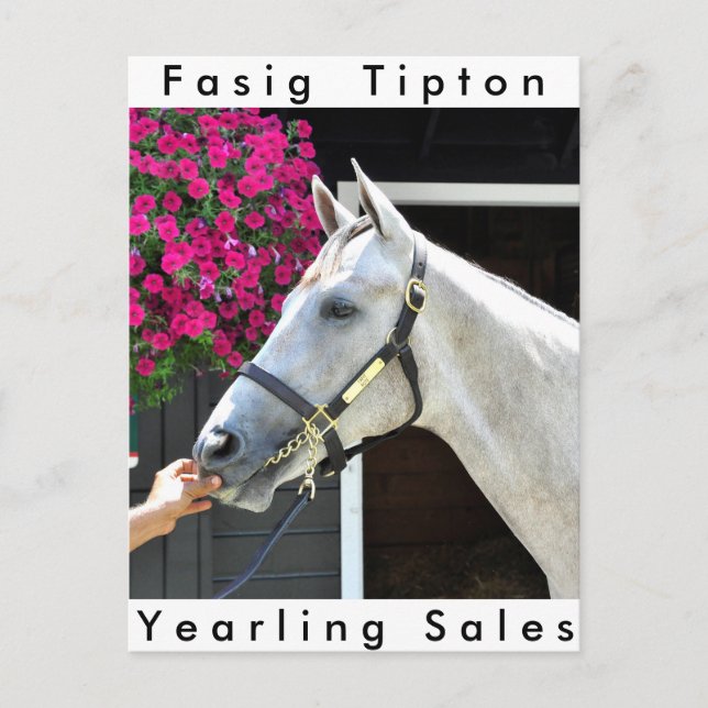 Tapit -Rote Hip no.140 Postcard (Front)