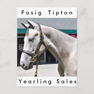 Tapit -Rote Hip no.140 Postcard