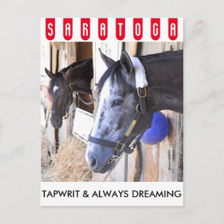 Tapwrit & Always Dreaming Postcard