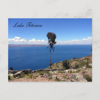 taquile tree postcard