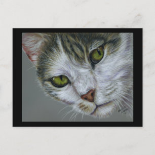 Tara - Cat Art Postcard