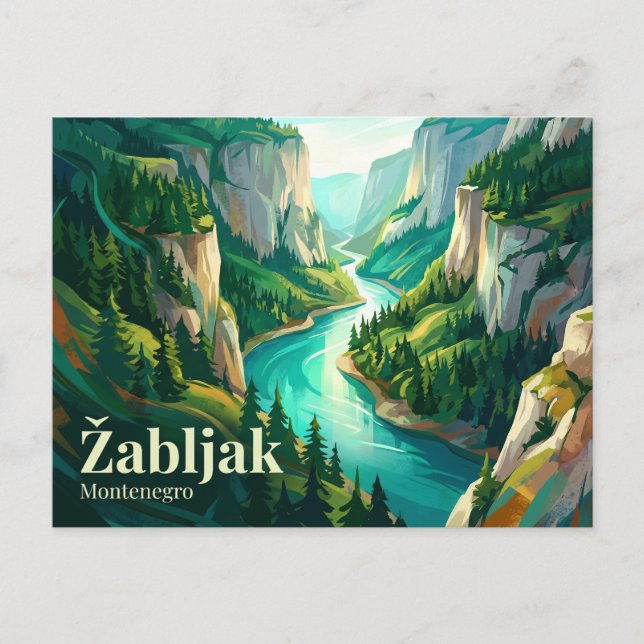 Tara River Canyon Montenegro Postcard (Front)