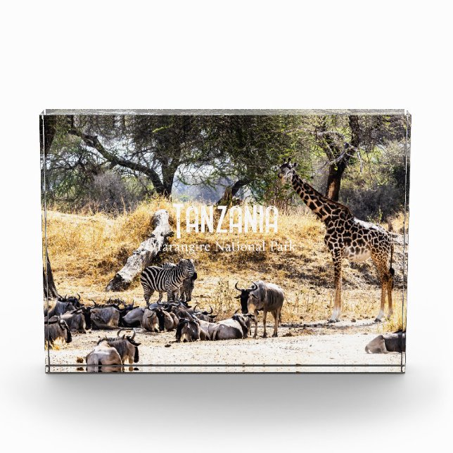 Tarangire National Park Photo Block (Front)