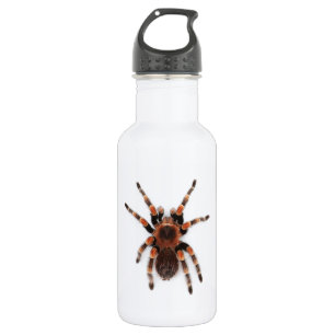 Tarantula 532 Ml Water Bottle