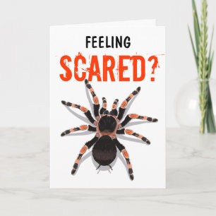 Tarantula Birthday Card