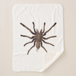 Tarantula Blanket 