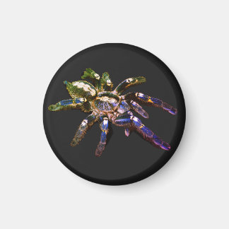 Tarantula blue/red/orange/black spider magnet