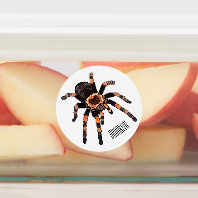 Tarantula cartoon illustration (Affixed)