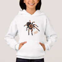 Tarantula cartoon illustration