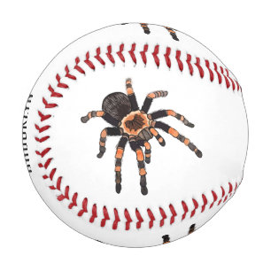 Tarantula cartoon illustration baseball