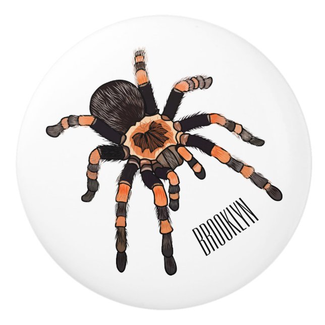Tarantula cartoon illustration ceramic knob (Front)
