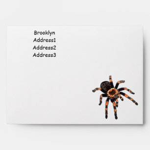 Tarantula cartoon illustration envelope