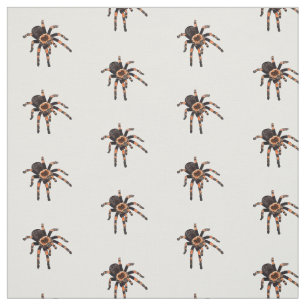 Tarantula cartoon illustration fabric