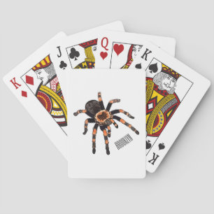 Tarantula cartoon illustration playing cards