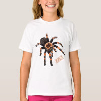 Tarantula cartoon illustration