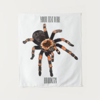 Tarantula cartoon illustration