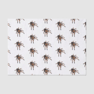 Tarantula cartoon illustration tissue paper