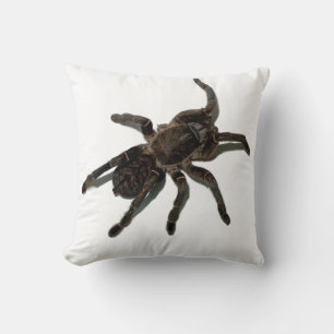 Tarantula Cushion