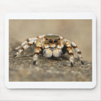 Tarantula Jumping Bird Spider awesome accessories Mouse Pad