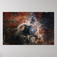 Tarantula Nebula Space Image