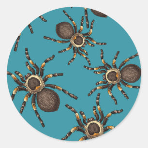 Tarantula on blue classic round sticker