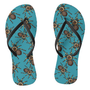 Tarantula on blue jandals