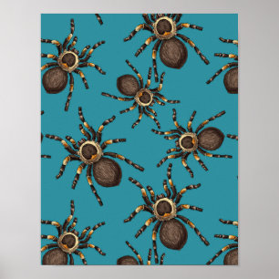 Tarantula on blue poster