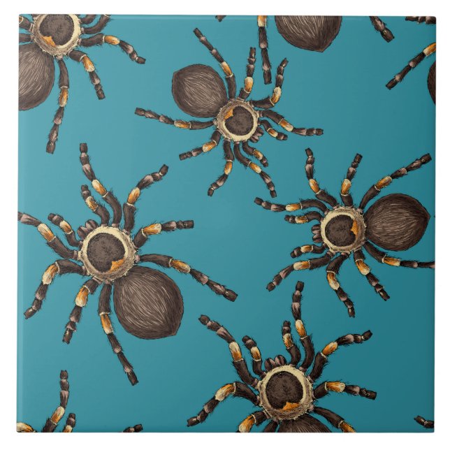 Tarantula on blue tile (Front)