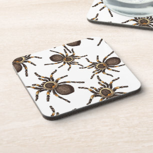 Tarantula on white coaster