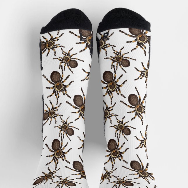 Tarantula on white socks (Top)