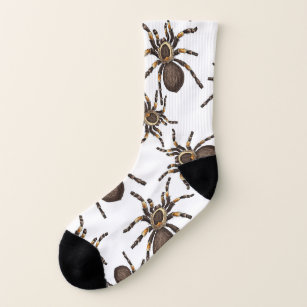 Tarantula on white socks